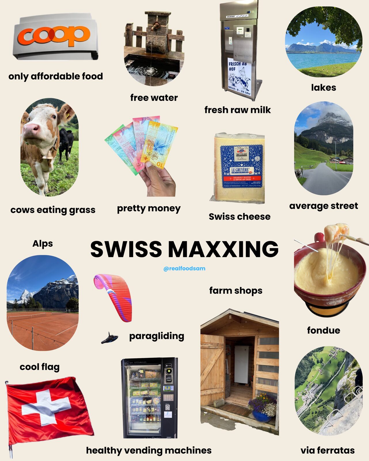 Official Frankencoin Swiss Maxxing collage of Swiss products